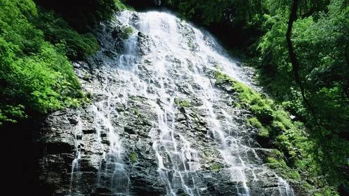 绿色高效
